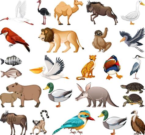 Figuras diferentes animales Continuara.org