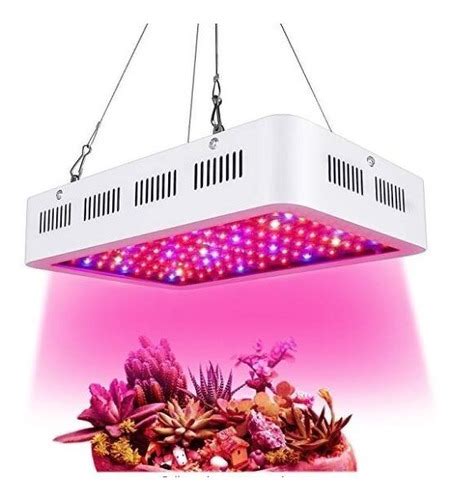 Foco cultivo indoor Continuara.org