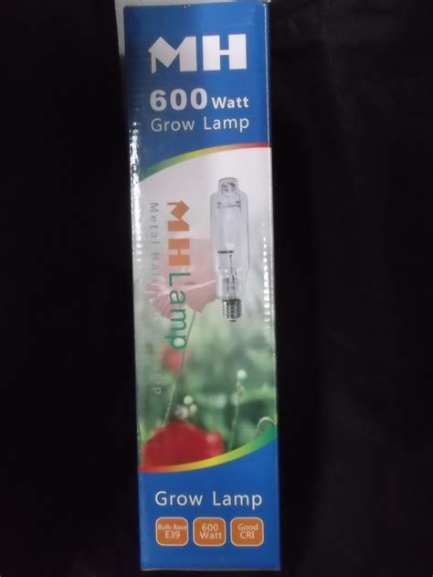 Focos 600 w Continuara.org