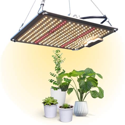 Focos led cultivo Continuara.org