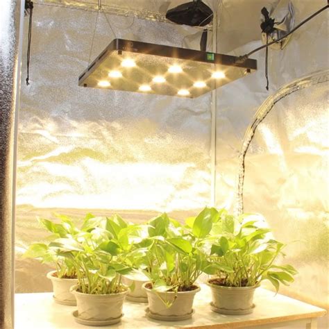 Focos led grow Continuara.org
