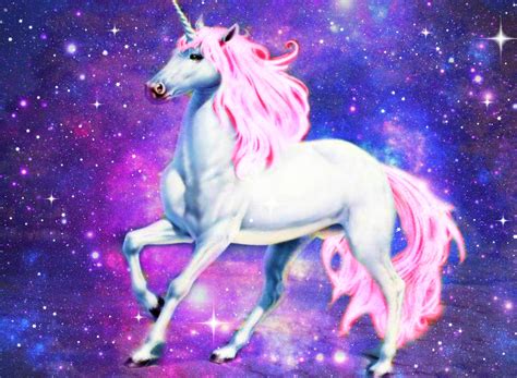 Foto call unicornio Continuara.org