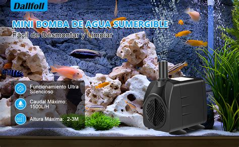 Fuente pecera acuario Continuara.org