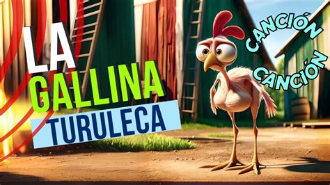 Gallina turuleta Continuara.org