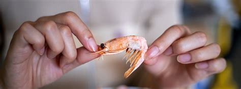 Gambas mujer Continuara.org
