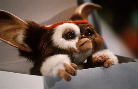 Gizmo gremlins Continuara.org