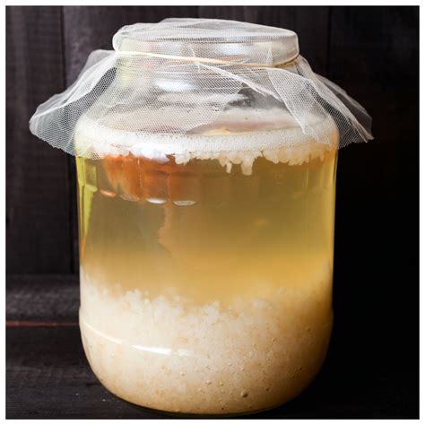 Granulos kefir Continuara.org