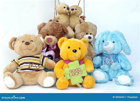 Grupo peluches pequenos Continuara.org
