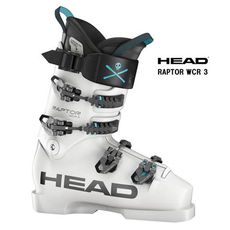 Head raptor Continuara.org