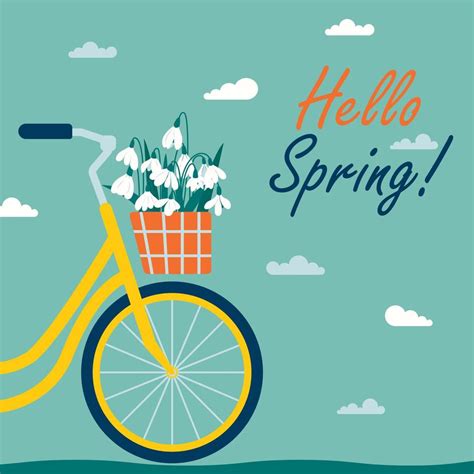 Hola cesta bicicletas Continuara.org
