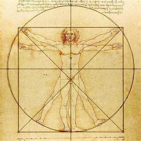 Hombre vitruvio leonardo Continuara.org