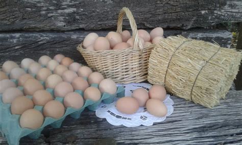 Huevos caseros Continuara.org