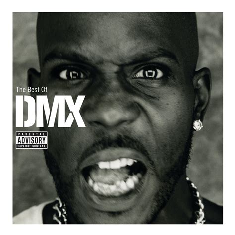 Img dmx Continuara.org