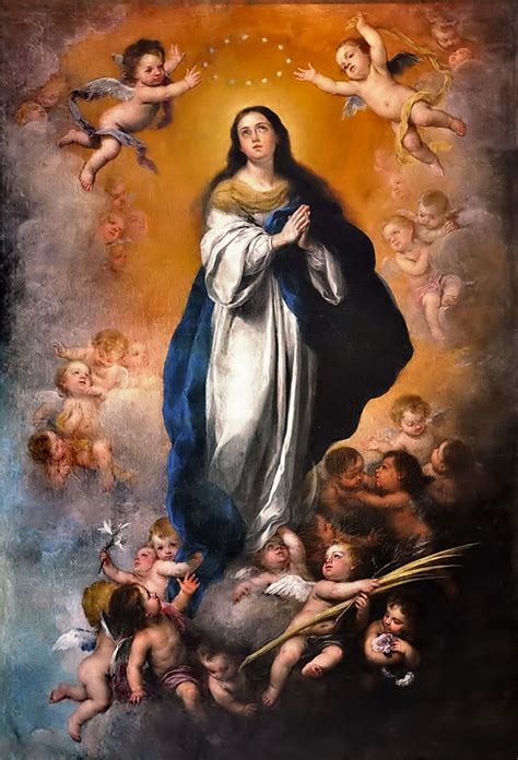 Inmaculada Continuara.org