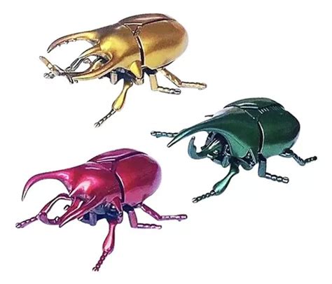 Insectos juguetes movimiento Continuara.org
