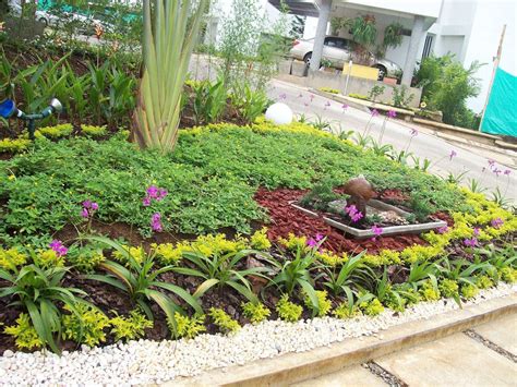Jardineria fincas Continuara.org