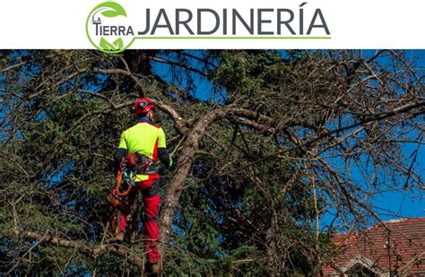 Jardineria poda arboles Continuara.org