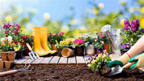 Jardineria Continuara.org