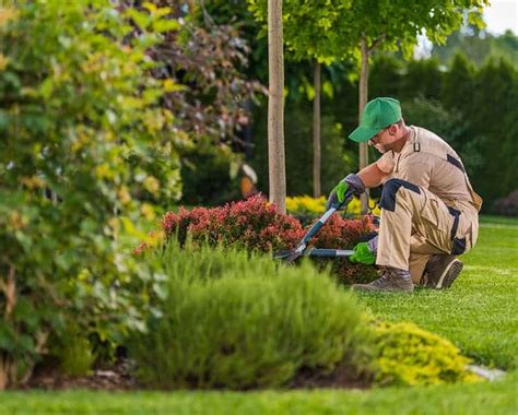 Jardinero profesional Continuara.org