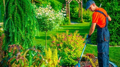 Jardinero servicios jardineria Continuara.org
