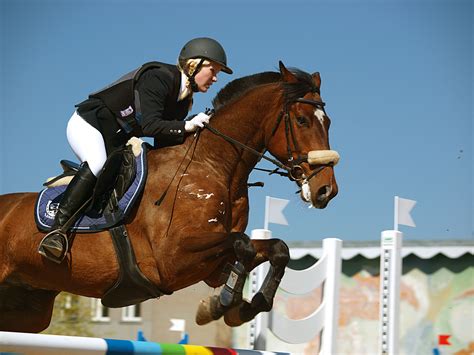 Jinete caballo Continuara.org