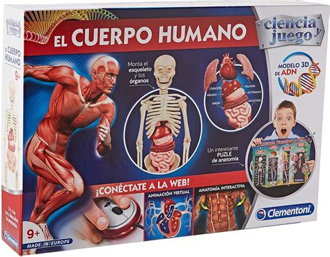Juego cuerpo humano Continuara.org