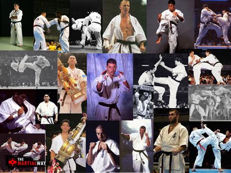 Karate fighters Continuara.org