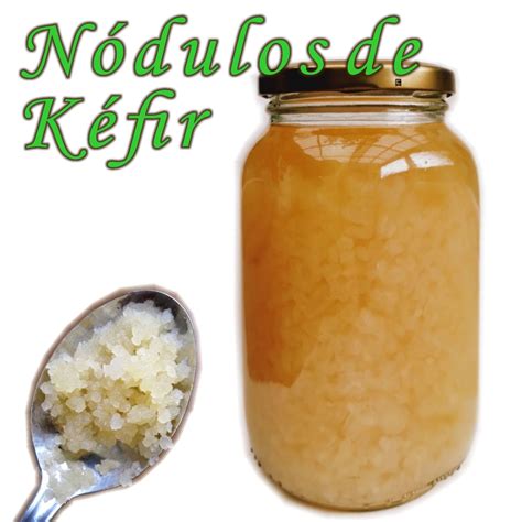 Kefir vivo nodulos Continuara.org