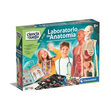 Laboratorio anatomia clementoni Continuara.org