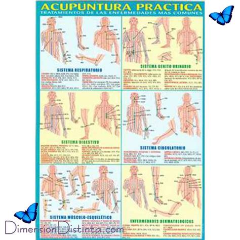 Laminas acupuntura Continuara.org