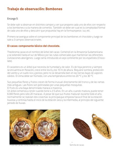Laminas encargo Continuara.org