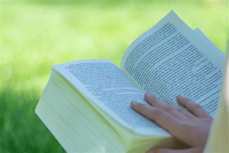 Leer bien nueva Continuara.org