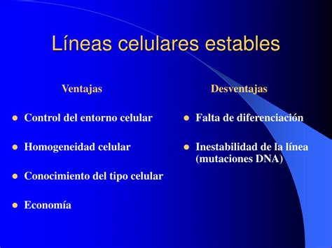 Lineas estables premium Continuara.org