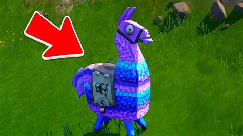 Llama juego fortnite Continuara.org