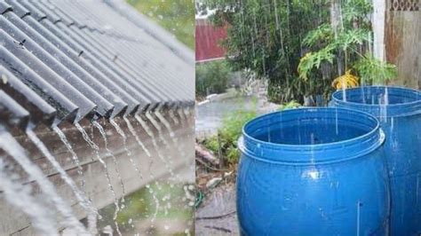 Lluvia aprovechela agua Continuara.org