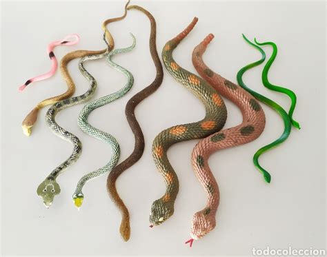 Lote abaco serpiente Continuara.org