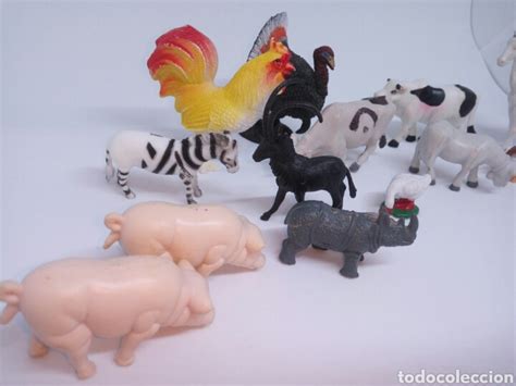 Lote animales Continuara.org