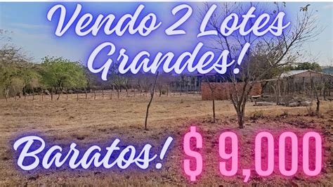 Lote muy grande Continuara.org