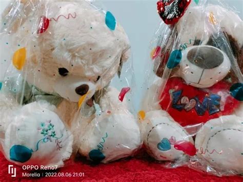 Lote peluches gigantes Continuara.org
