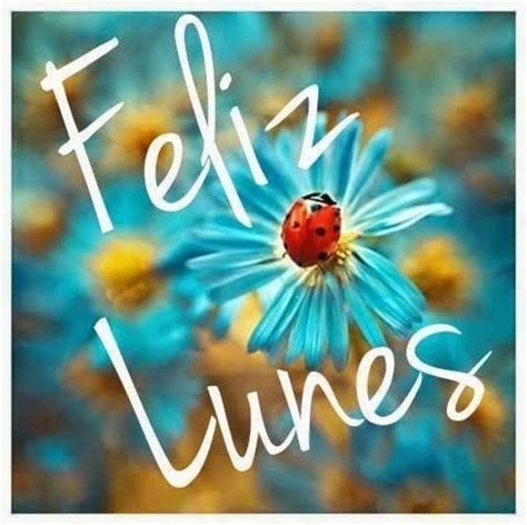 Lunes Continuara.org