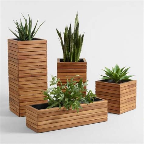Macetas plantas Continuara.org