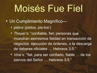Magnifico moises Continuara.org