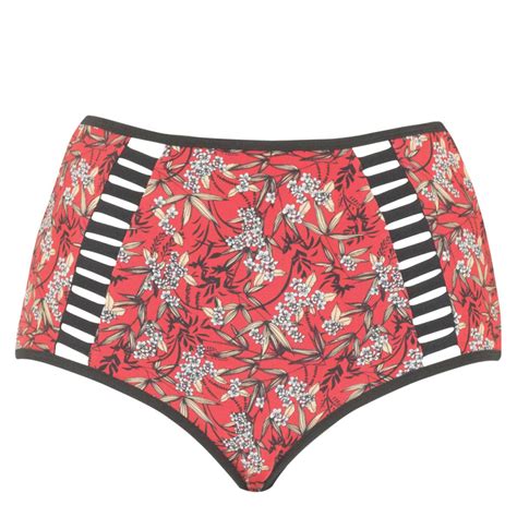 Maillot culotte camara Continuara.org