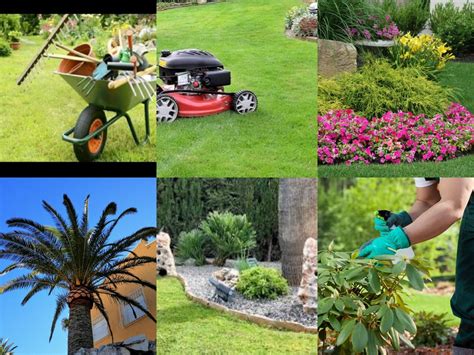 Mantenimento jardines piscinas Continuara.org