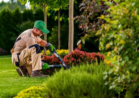 Mantenimiento jardineria Continuara.org