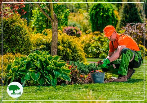 ´mantenimientos jardines Continuara.org