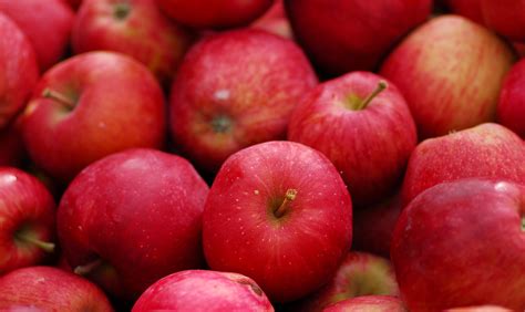 Manzana Continuara.org