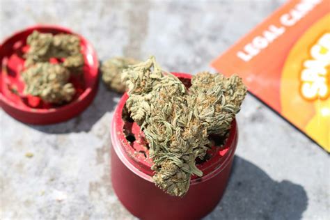 Marihuana terapeutica Continuara.org