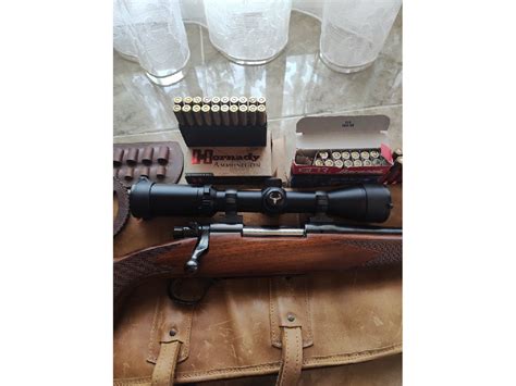 Marlin 7 perfecto Continuara.org