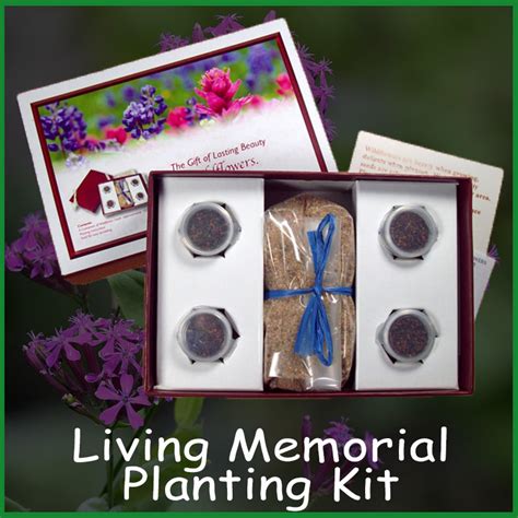 Memoria kit Continuara.org